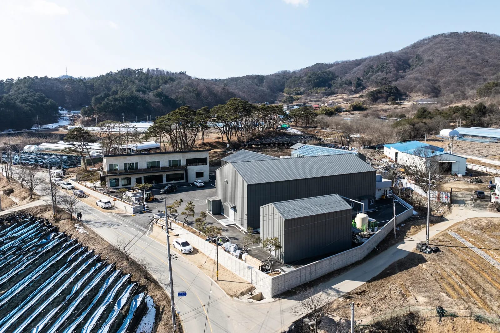 인삼밭에서 바라본 충남 금산 홍백 공장 전경